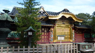 見どころが多いです！