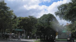 北大マルシェに行きました