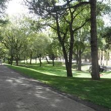 夏のキャンパス