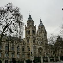 遠くからでも目立ちます