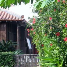 施設内の沖縄民家とブーゲンビリアのいかにも南国風な景色です