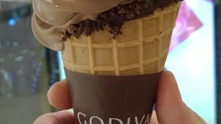 チョコアイスなのにチョコそのものの濃厚な味