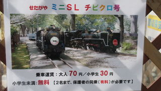 ミニＳＬチビクロ号が走る世田谷区の公園