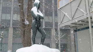 どのオブジェも感動しています