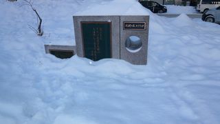 春は綺麗な草花が咲き乱れます