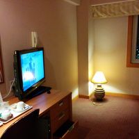 客室。夜に撮ったのでわかりにくくてすみません。