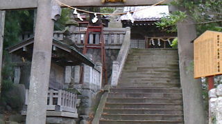 熱海の大楠はここにもあった！