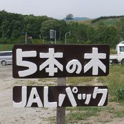 JALのCMで有名