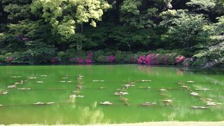 コバルトブルーが絶景