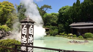 ピラニア地獄～