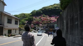 ラスト！地獄制覇！！龍が登る龍巻地獄～。