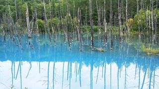 旅程を調整してぜひ早朝に