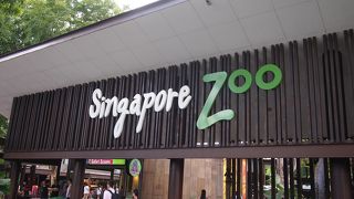 楽しい！　動物との距離が近い！