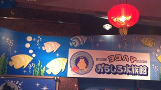 生き物好きの子にはとても楽しめる水族館です