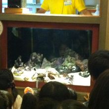 エサやりイベント