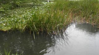 観光の休憩にいい