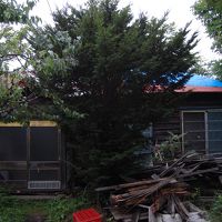 民宿ランプ別館の外観です