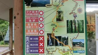 滝まで行けず残念でしたが