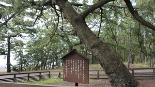 羽衣伝説の地