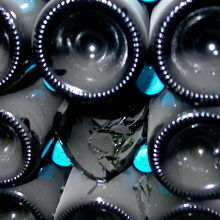 こりゃーわかる二次発酵！ﾎﾟｺﾎﾟｺ・・・いい子に育て♪