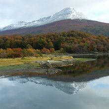 遊歩道から見たラパタイア湾の一部と周辺の秋景色。