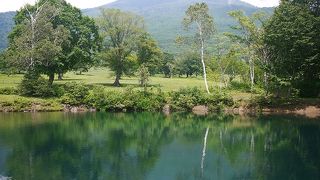 高原の景色に癒されます