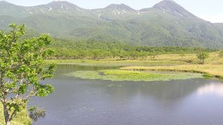 心洗われ心に残る自然との出会い！