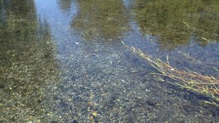 夏でも涼しいです