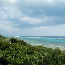 てっぺんからの景色