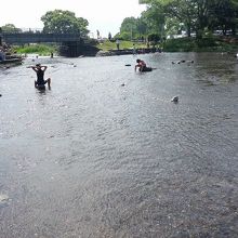 ちびっこでも安心