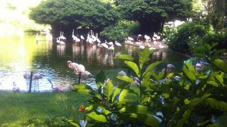 Wi-Fiも使えて便利