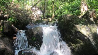森の中をザーザーと流れ落ちる癒やしの滝