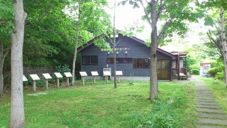 徒歩による函館山登山も良い感じ