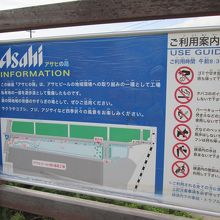 緑道では、間近にハクセキレイのつがいを見かけました。