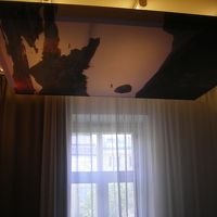 ベッドの天蓋？天井のマリメッコ？