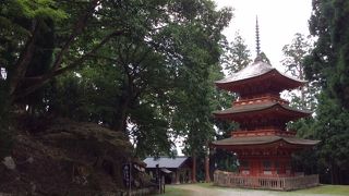 興味深い由来です。