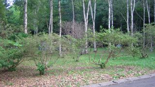 満点に近いキャンプ場