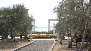 ここでオリーブ商品を購入しょう