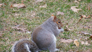 マンハッタンのど真ん中