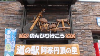 ひっそりとしたタンチョウの里