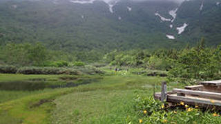 快適な高原散歩