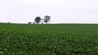 分かりにくいです