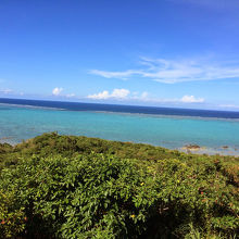 イシガキブルー！