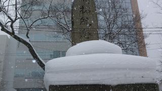 素晴らしい開拓者です