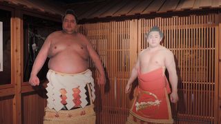 舞の海ファンの方なら