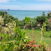 the view from poolside