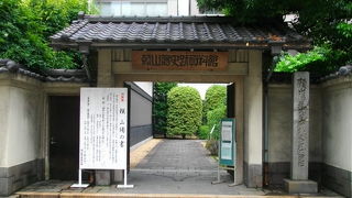 都会の中では落ち着く庭です