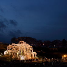 暗くなり始めた時間帯に撮影。