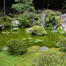 これが古池ですか？