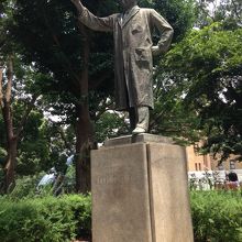 実物大くらいです